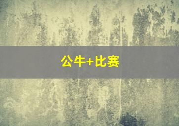公牛 比赛